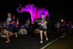 BIB: 
                            <button type="button" onclick="openModal(26534993)" class="btn btn-primary btn-sm float-right btn-popup" data-toggle="modal" data-target=".modal-high-quality">
                        <i class="fas fa-shopping-cart"></i> Add to Cart
                    </button>
                                            <button type="button" onclick="isThisMe(26534993, true)" class="btn btn-success btn-sm float-right btn-popup btn-isme hidden" data-toggle="tooltip" data-placement="bottom" title="นี่คือรูปของคุณใช่ไหม คลิกที่นี่เพื่อเอาเข้าอัลบั้ม">
                        <i class="fas fa-plus"></i> Add to album
                    </button>
                    <button type="button" onclick="isThisMe(26534993, false)" class="btn btn-warning btn-sm float-right btn-popup btn-isnotme hidden">
                        <i class="fas fa-ban"></i> Remove from album
                    </button>